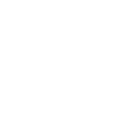 Secure & Reliable in shopify website